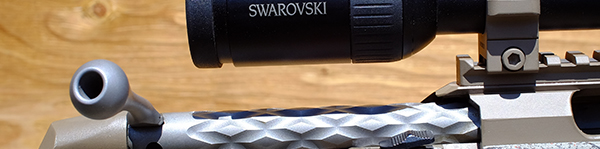 Custom Tikka T3 - Detail